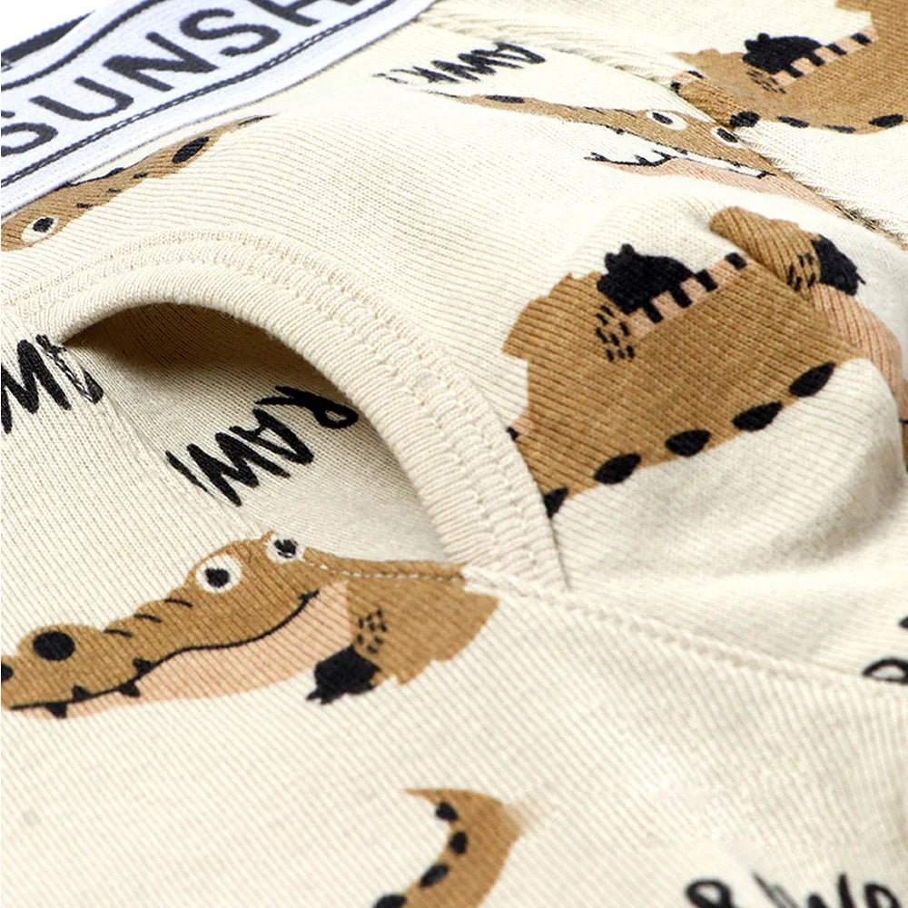1/3/6 pcs Boys Boxer Briefs Sets 2025 New Kids Cotton Underwear Boy Underpants Teenager Dinosaur Print Soft Children Panties