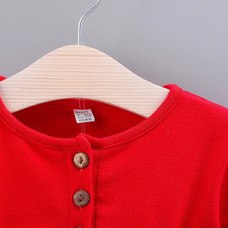 Spring And Autumn New Baby Girl Princess Dress, Pineapple Embroidered Children'S Long Sleeve Clothes (1-3 Years Old)