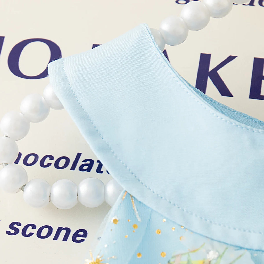 Summer New Princess Style Baby Girl Dress, Floral Chiffon Children'S Sleeveless Clothes For Birthday Parties (0-3 Years Old)