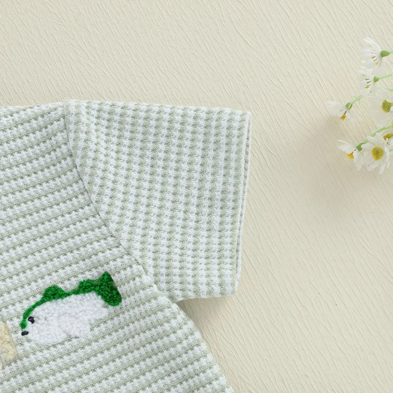 Infant Boy Outfit Set with Cute Animal Embroidery Short Sleeve Tee and Stylish Plaid Shorts for Summer 2 Piece Set