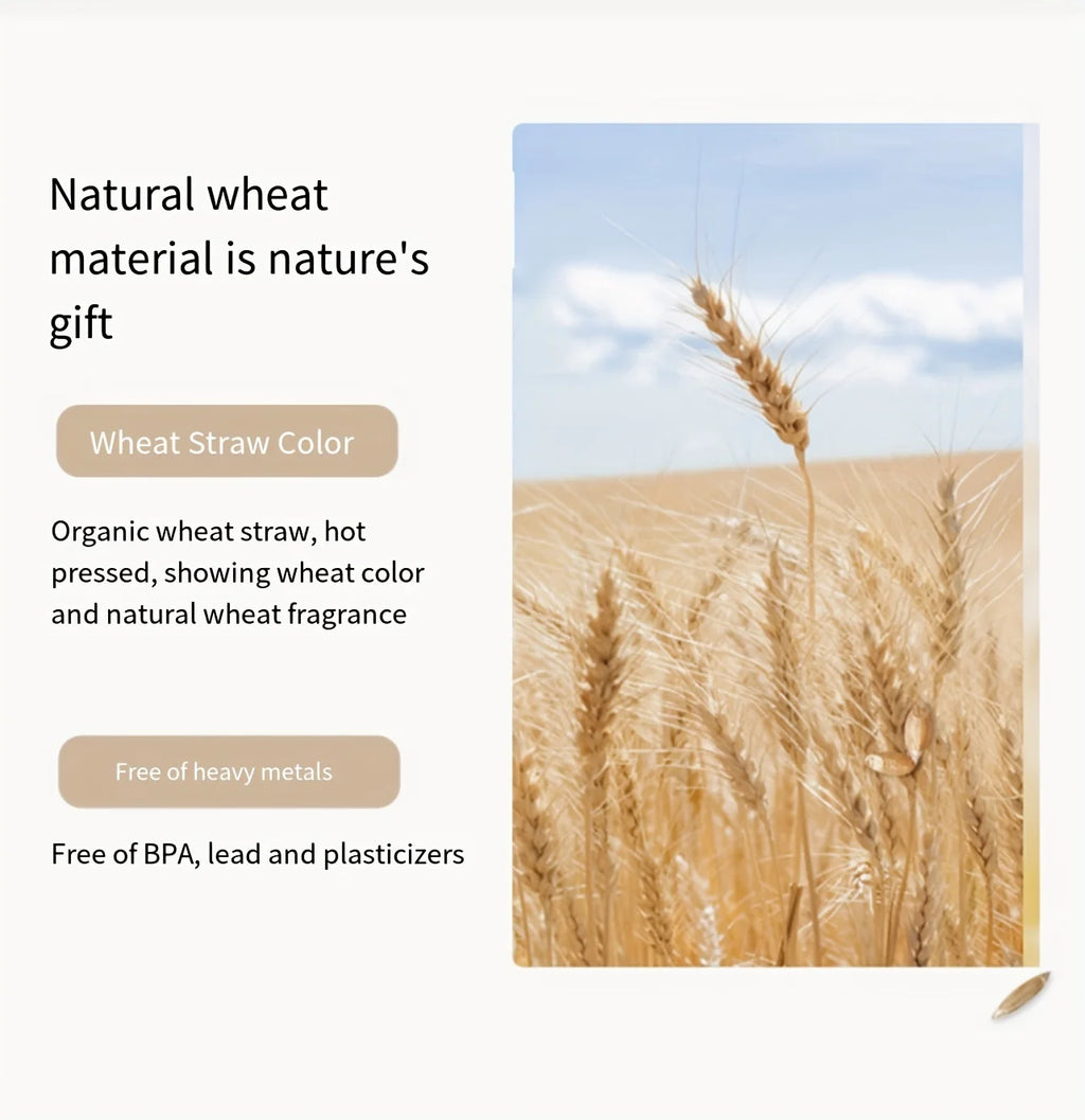 Sea Creatures Sand Beach Toy Set Toys Kids Sandbox Toys Toddlers Sand Toys Beach Tool Kit Bucket Watering Shovel Travel Outdoor