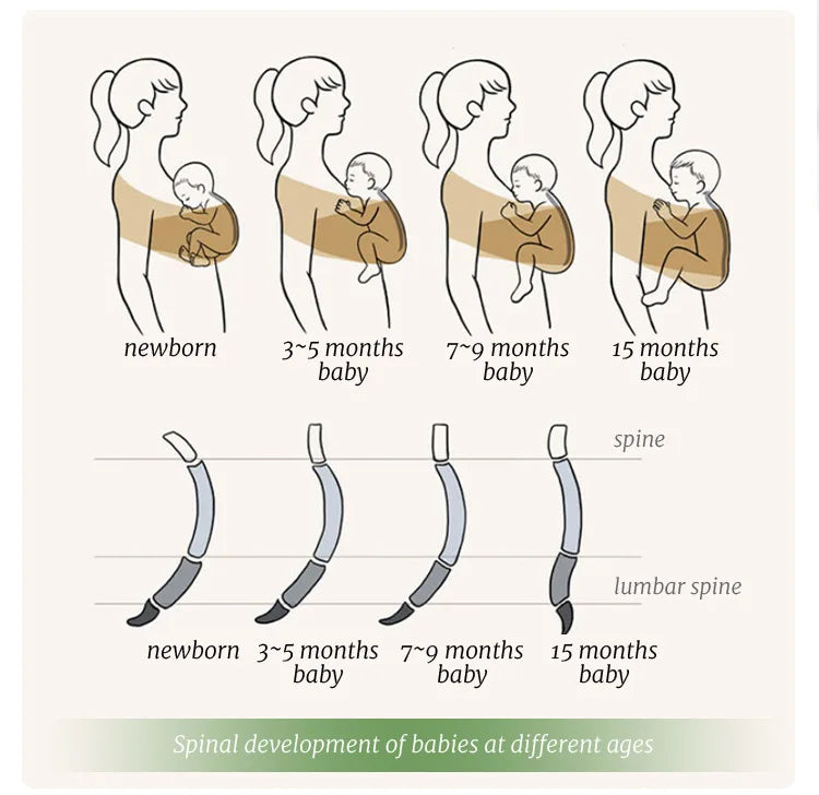 PANGDUBE Ergonomic Baby Wrap Sling Carrier Soft Cotton Kangaroo Sling for Newborns to 36 Months Comfortable Front Baby Carrier