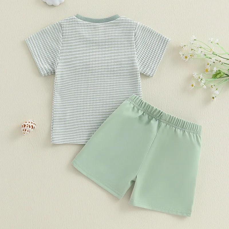 Infant Boy Outfit Set with Cute Animal Embroidery Short Sleeve Tee and Stylish Plaid Shorts for Summer 2 Piece Set