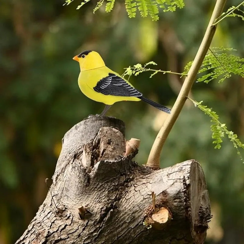 Electric Singing Bird Toy Cute Interactive Bird Toy Simulation Electronic Bird Toys for Kids with Motion & Sound Control