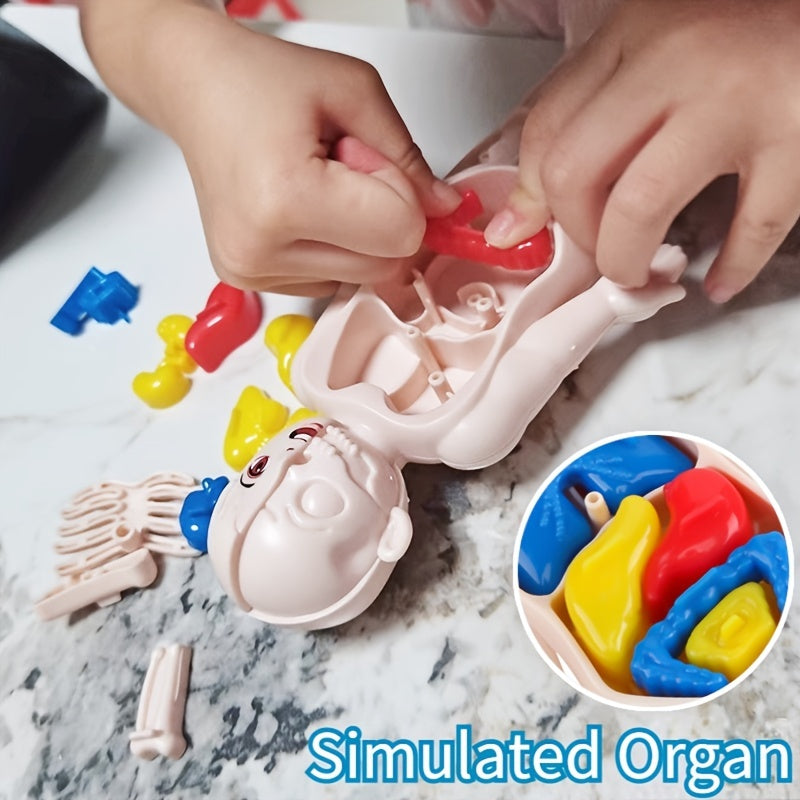 Kid Montessori 3D Puzzle Toy, Human Body Anatomy Model Educational Learning Organ Assembled Toy, Teaching Tool For Children