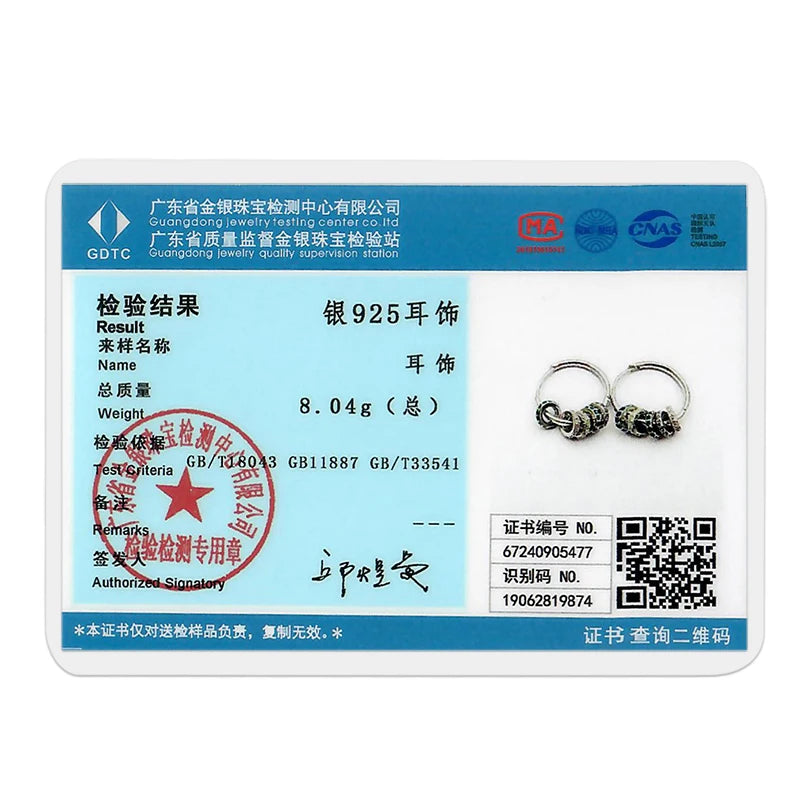 925 Sterling Silver Career Eardrop Musical Note Earrings Painter Microphone Earrings Fit For Women Workplace Birthday Gift