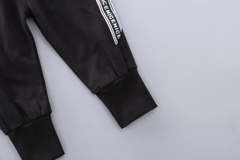 New Spring Autumn Baby Girl Clothes Children Boys Hoodies Pants 2Pcs/Sets Kids Outfits Toddler Casual Costume Infant Tracksuits